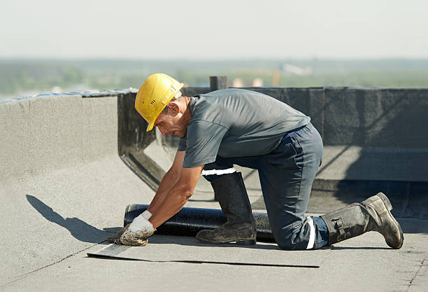 Best Specialized Insulation Services in Dover Base Housing, DE