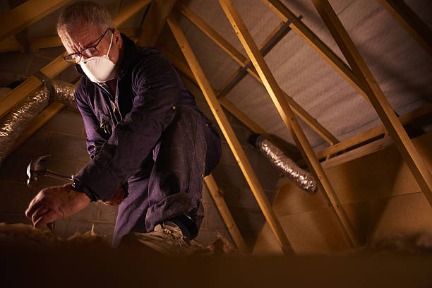 Best Blown-in Insulation in Dover Base Housing, DE